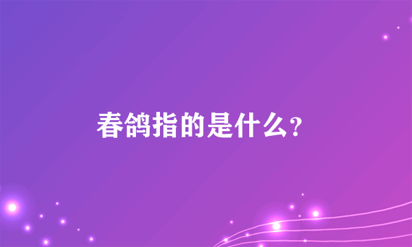 春鸽指的是什么？