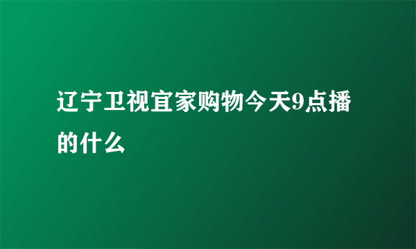 辽宁卫视宜家购物今天9点播的什么