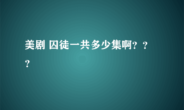 美剧 囚徒一共多少集啊？？？