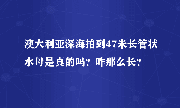 澳大利亚深海拍到47米长管状水母是真的吗？咋那么长？