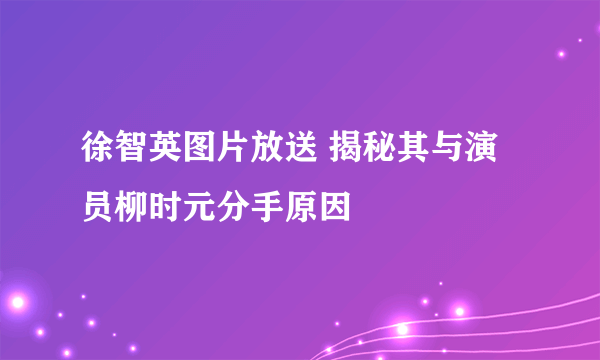 徐智英图片放送 揭秘其与演员柳时元分手原因