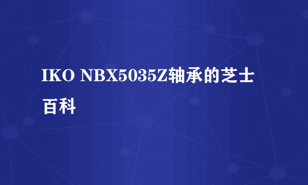 IKO NBX5035Z轴承的芝士百科