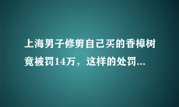 上海男子修剪自己买的香樟树竟被罚14万，这样的处罚合理吗？