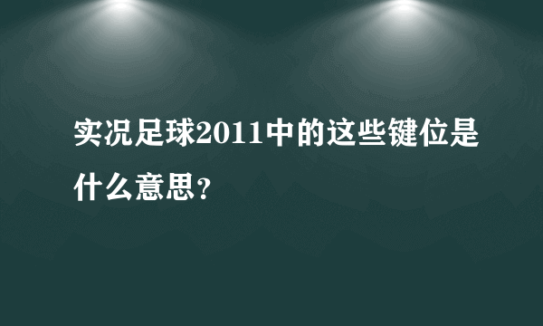 实况足球2011中的这些键位是什么意思？