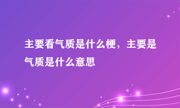 主要看气质是什么梗，主要是气质是什么意思