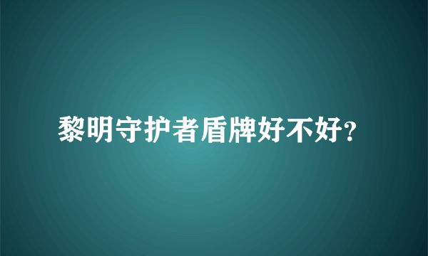 黎明守护者盾牌好不好？