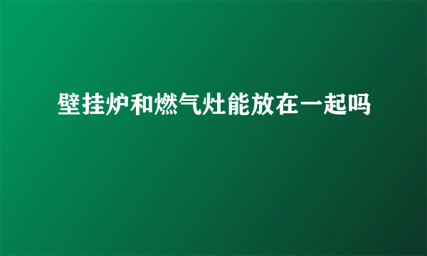 壁挂炉和燃气灶能放在一起吗