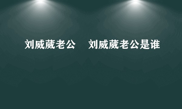 刘威葳老公    刘威葳老公是谁