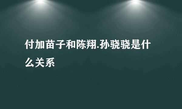 付加苗子和陈翔.孙骁骁是什么关系