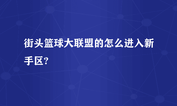 街头篮球大联盟的怎么进入新手区?