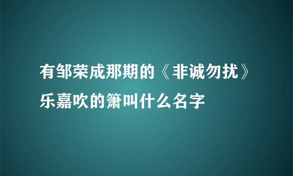 有邹荣成那期的《非诚勿扰》乐嘉吹的箫叫什么名字