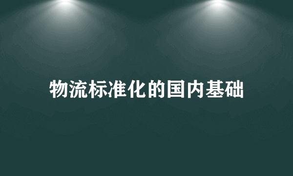 物流标准化的国内基础