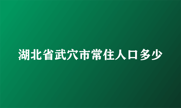 湖北省武穴市常住人口多少