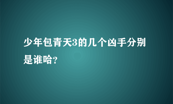 少年包青天3的几个凶手分别是谁哈？