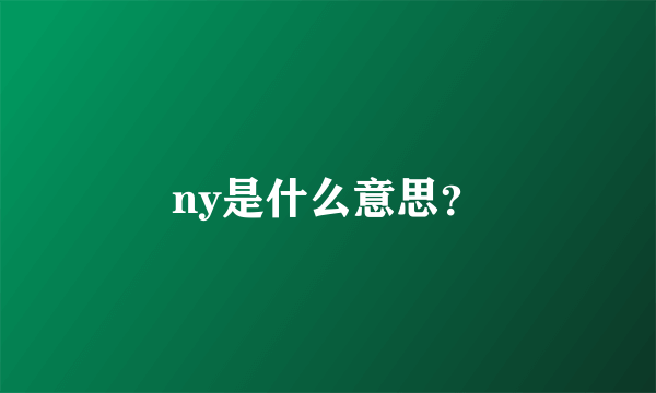 ny是什么意思？