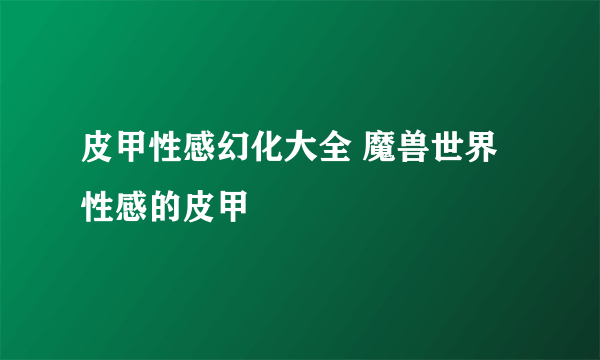 皮甲性感幻化大全 魔兽世界性感的皮甲