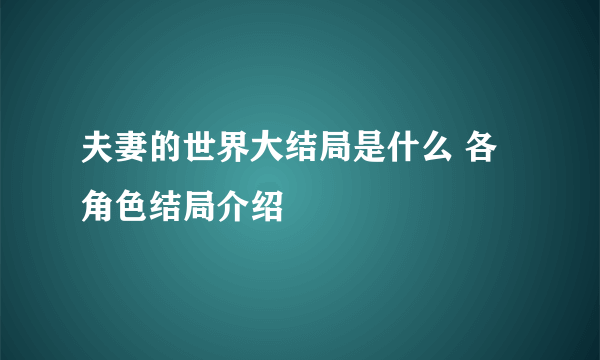 夫妻的世界大结局是什么 各角色结局介绍