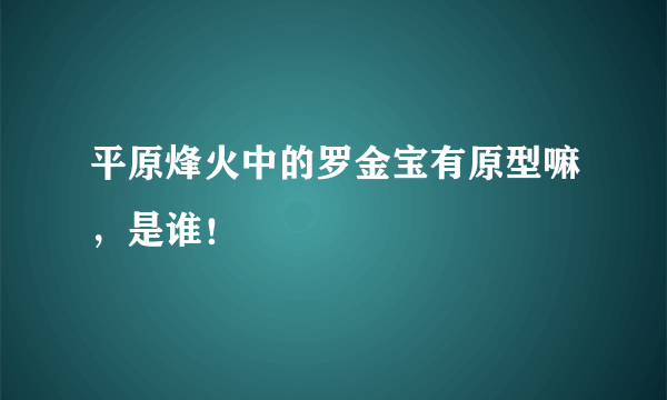 平原烽火中的罗金宝有原型嘛，是谁！