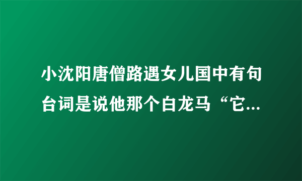 小沈阳唐僧路遇女儿国中有句台词是说他那个白龙马“它好像死了”，求视频