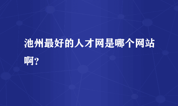 池州最好的人才网是哪个网站啊？