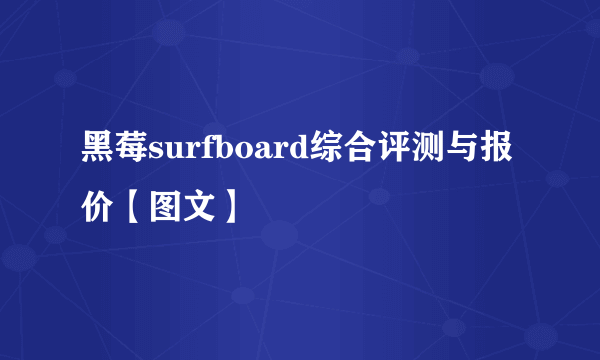 黑莓surfboard综合评测与报价【图文】