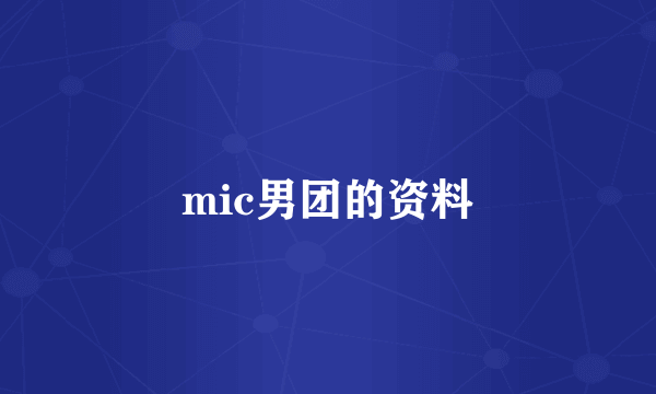 mic男团的资料