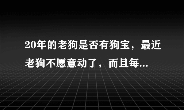 20年的老狗是否有狗宝，最近老狗不愿意动了，而且每天那都需要喝大量的水。吃东西也不多了？