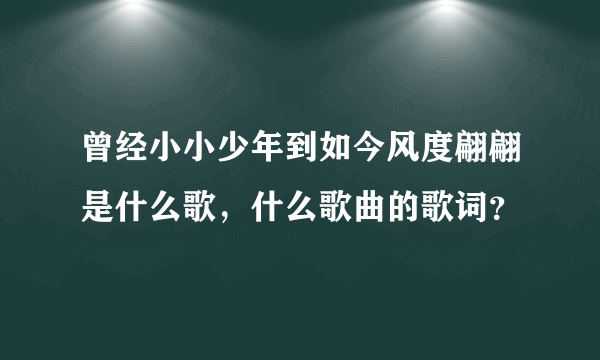 曾经小小少年到如今风度翩翩是什么歌，什么歌曲的歌词？