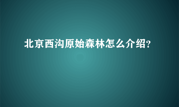 北京西沟原始森林怎么介绍？