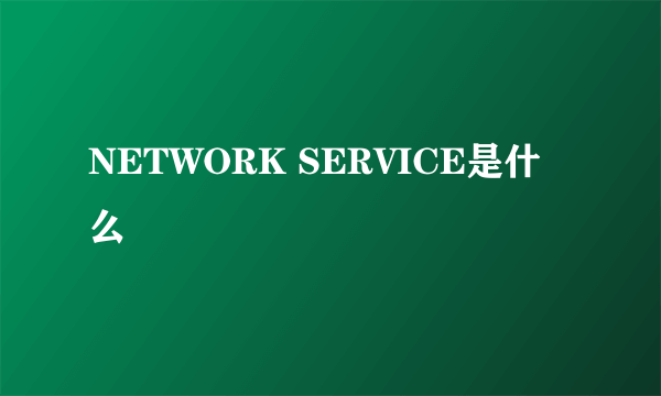 NETWORK SERVICE是什么