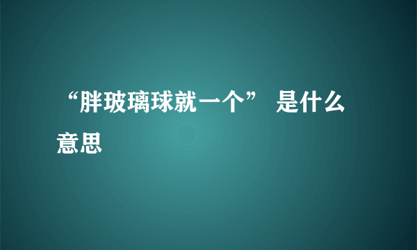 “胖玻璃球就一个” 是什么意思