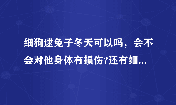 细狗逮兔子冬天可以吗，会不会对他身体有损伤?还有细狗的脚趾尖，多长适合逮兔子？