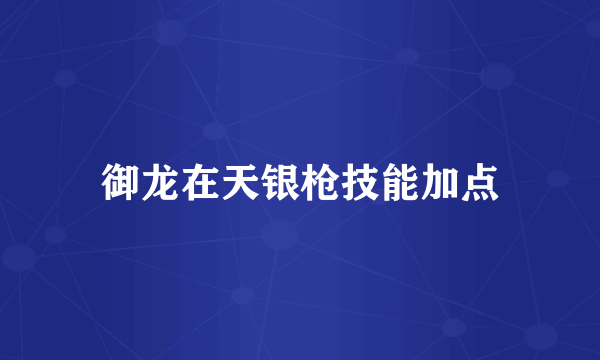 御龙在天银枪技能加点