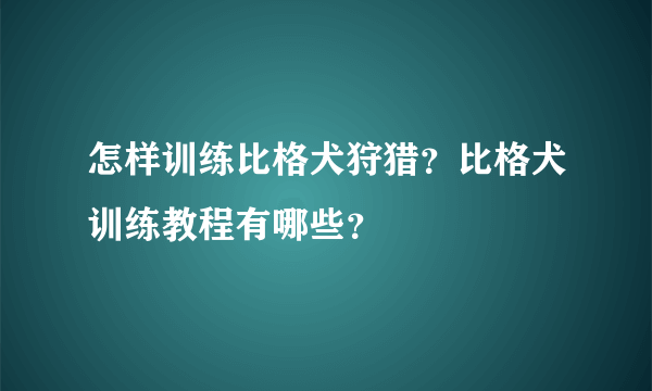 怎样训练比格犬狩猎？比格犬训练教程有哪些？