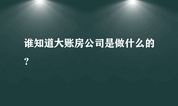 谁知道大账房公司是做什么的？