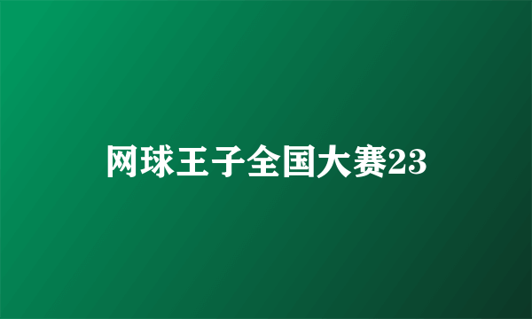 网球王子全国大赛23