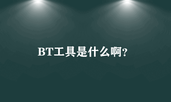 BT工具是什么啊？