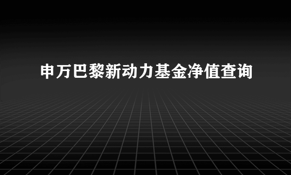 申万巴黎新动力基金净值查询