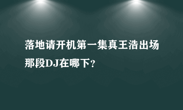 落地请开机第一集真王浩出场那段DJ在哪下？