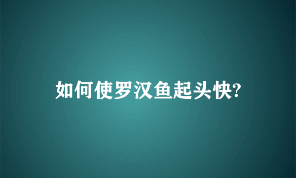 如何使罗汉鱼起头快?