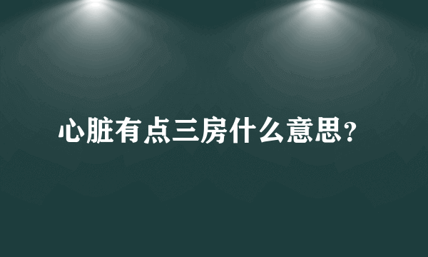 心脏有点三房什么意思？