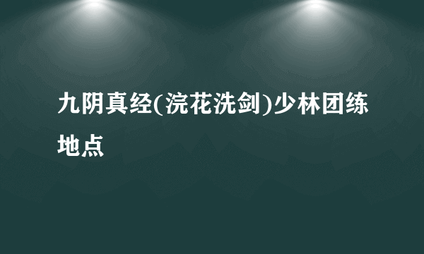 九阴真经(浣花洗剑)少林团练地点