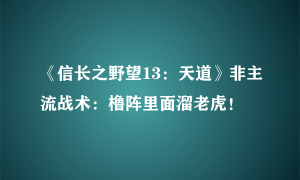 《信长之野望13：天道》非主流战术：橹阵里面溜老虎！