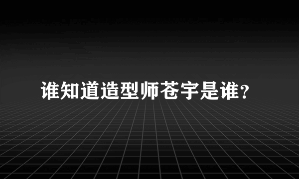 谁知道造型师苍宇是谁？