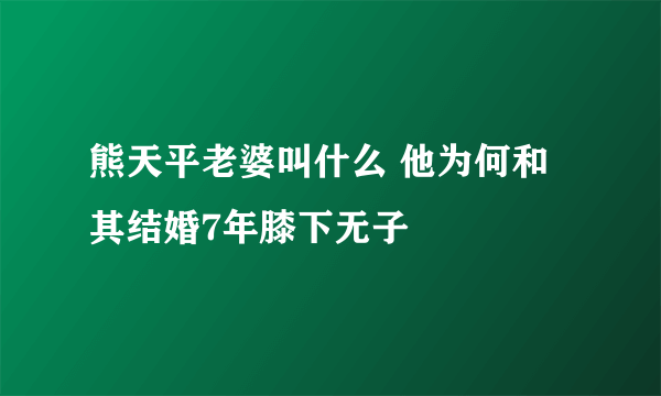 熊天平老婆叫什么 他为何和其结婚7年膝下无子