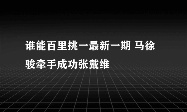 谁能百里挑一最新一期 马徐骏牵手成功张戴维