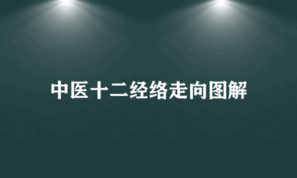 中医十二经络走向图解