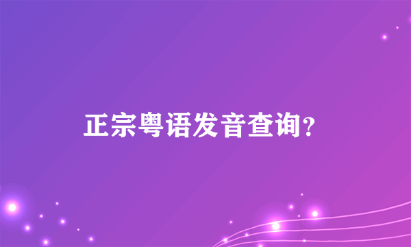 正宗粤语发音查询？