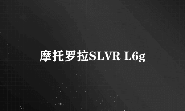 摩托罗拉SLVR L6g