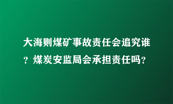 大海则煤矿事故责任会追究谁？煤炭安监局会承担责任吗？